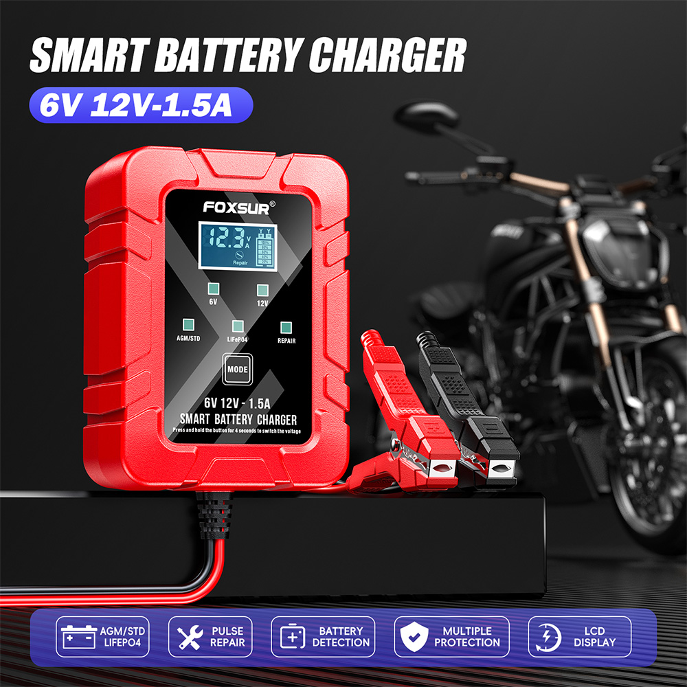 FOXSUR 6V 12V Automatic Smart  - Lifepo4 Battery Charger Smart Automatic ulasan dan harga