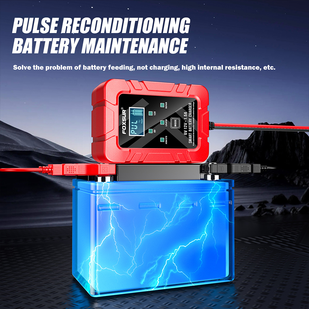FOXSUR 6V 12V Automatic Smart  - Lifepo4 Battery Charger Smart Automatic ulasan dan harga