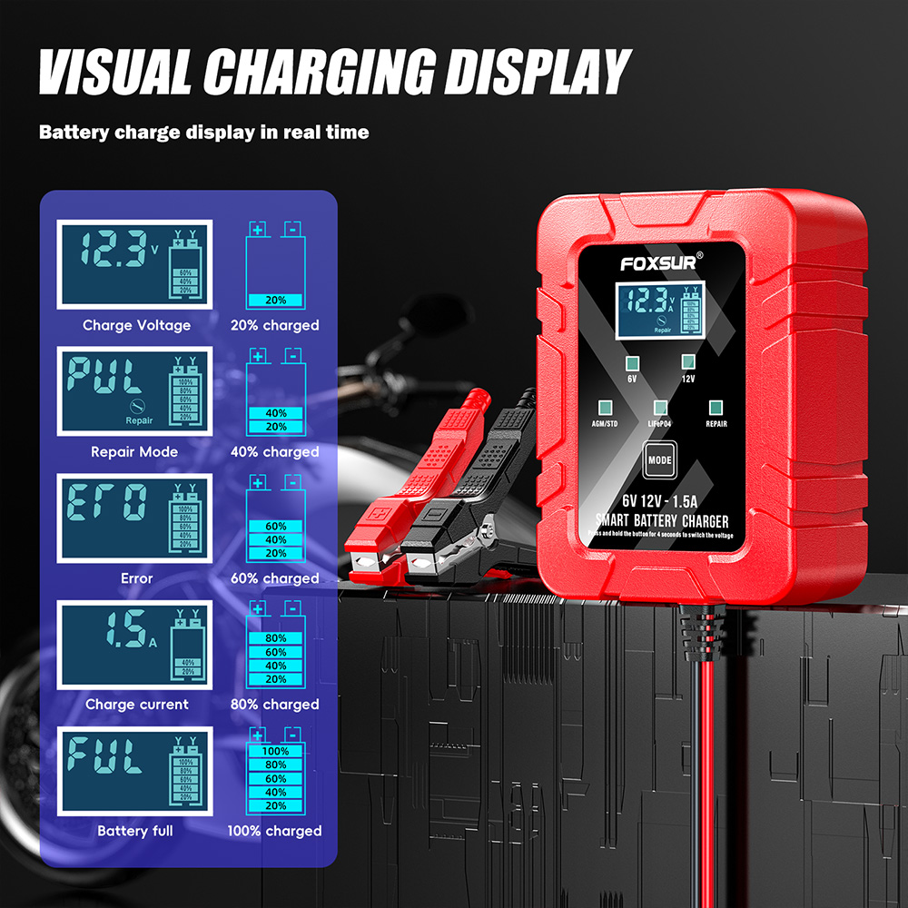 FOXSUR 6V 12V Automatic Smart  - Lifepo4 Battery Charger Smart Automatic ulasan dan harga